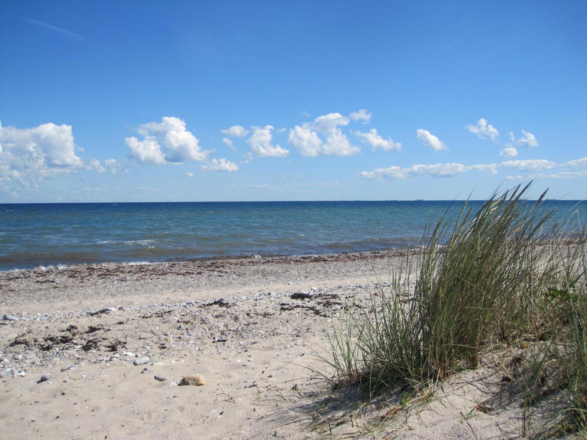Fewo Im Kastania Nr19 Petersdorf auf Fehmarn Εξωτερικό φωτογραφία